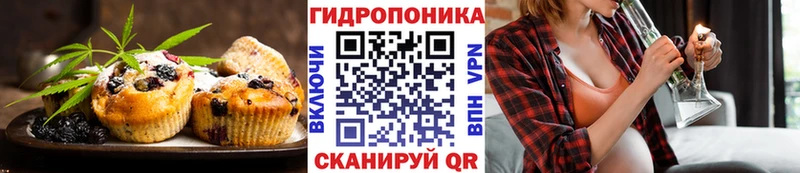 купить  цена  Абаза  Canna-Cookies конопля 